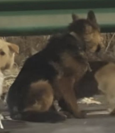 gettindevvy_ tweet media