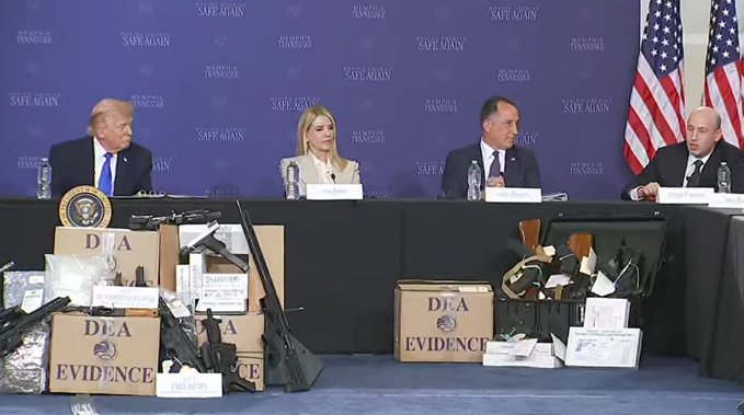 Daractenus tweet media