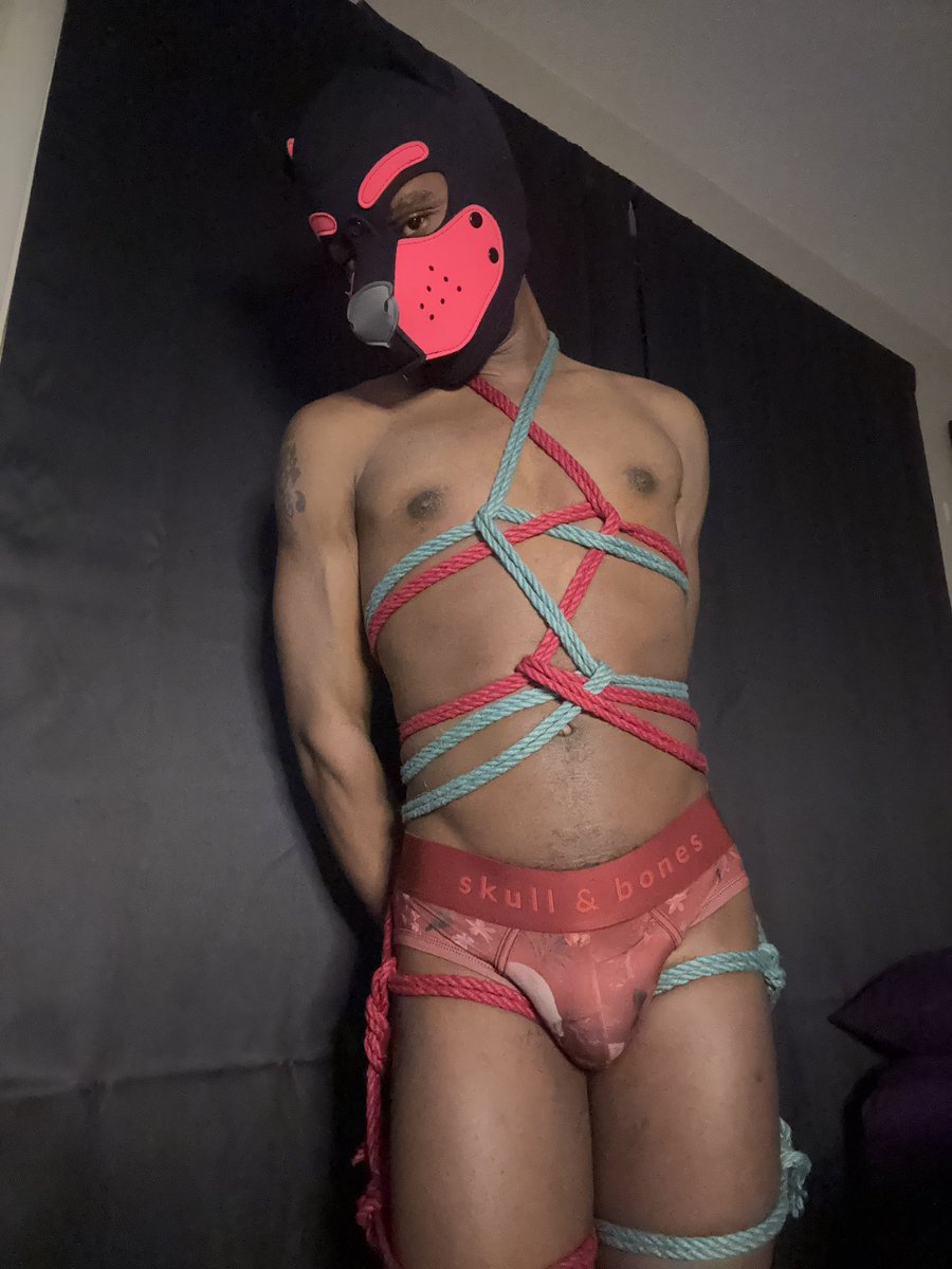 Dyon 🔜 BWS tweet media