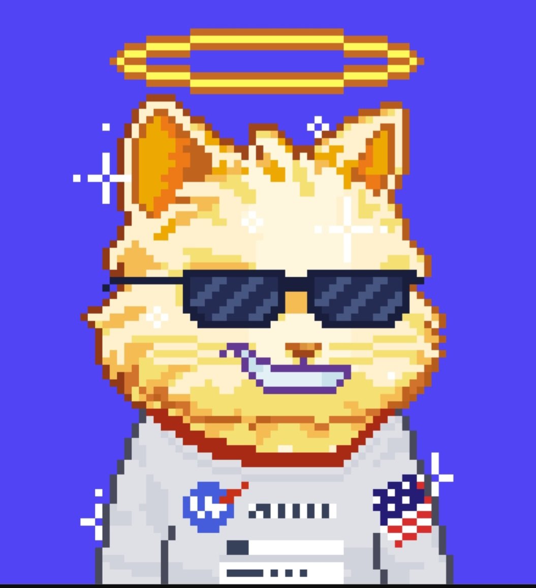 thommy.btc 🟧 tweet media