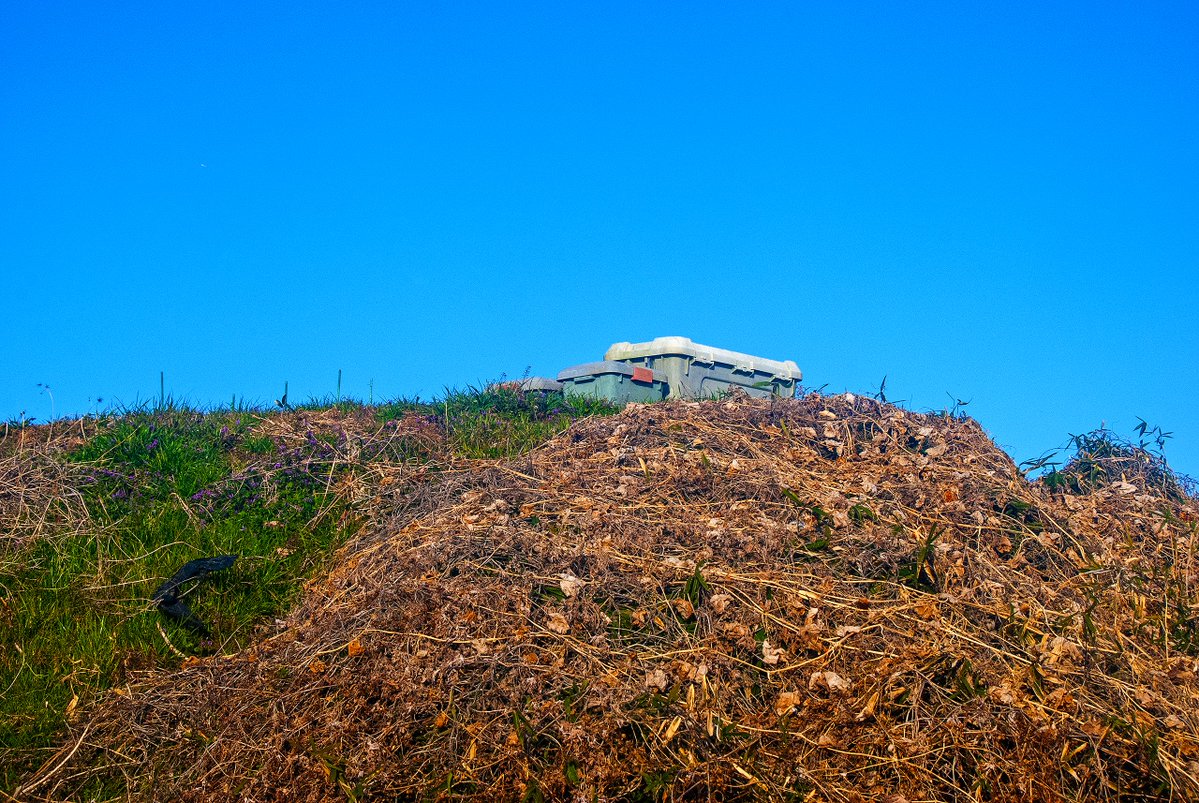 nzworkdown tweet media