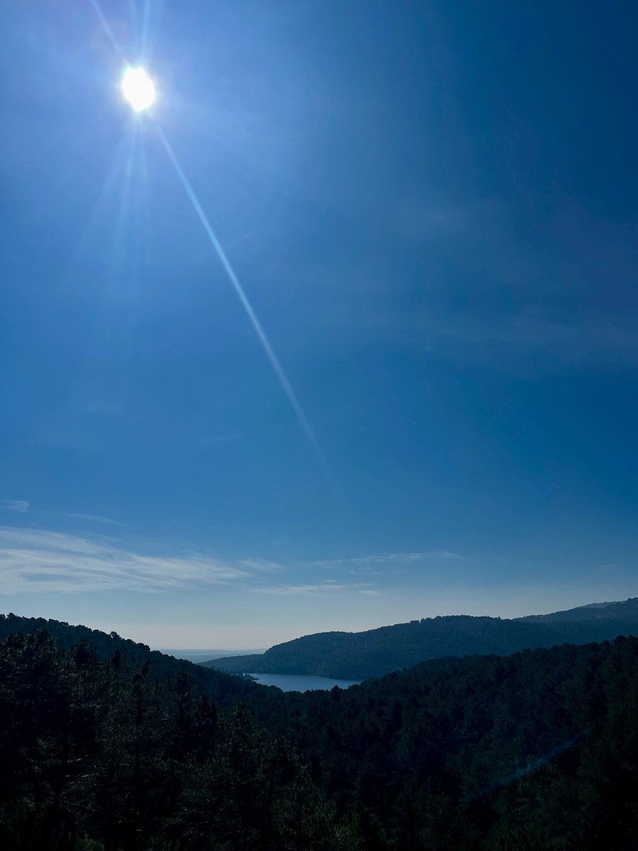 Daniel Mateo tweet media