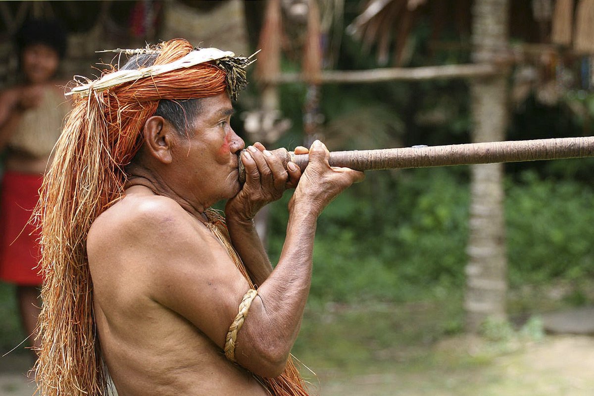 Artemental🌴18 tweet media