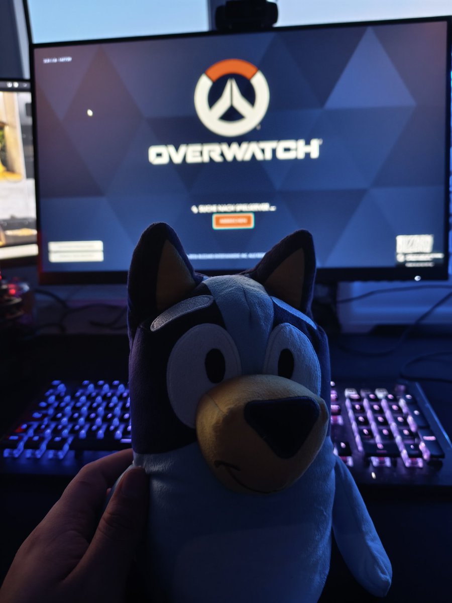 ⭐ Little Noki ⭐ tweet media