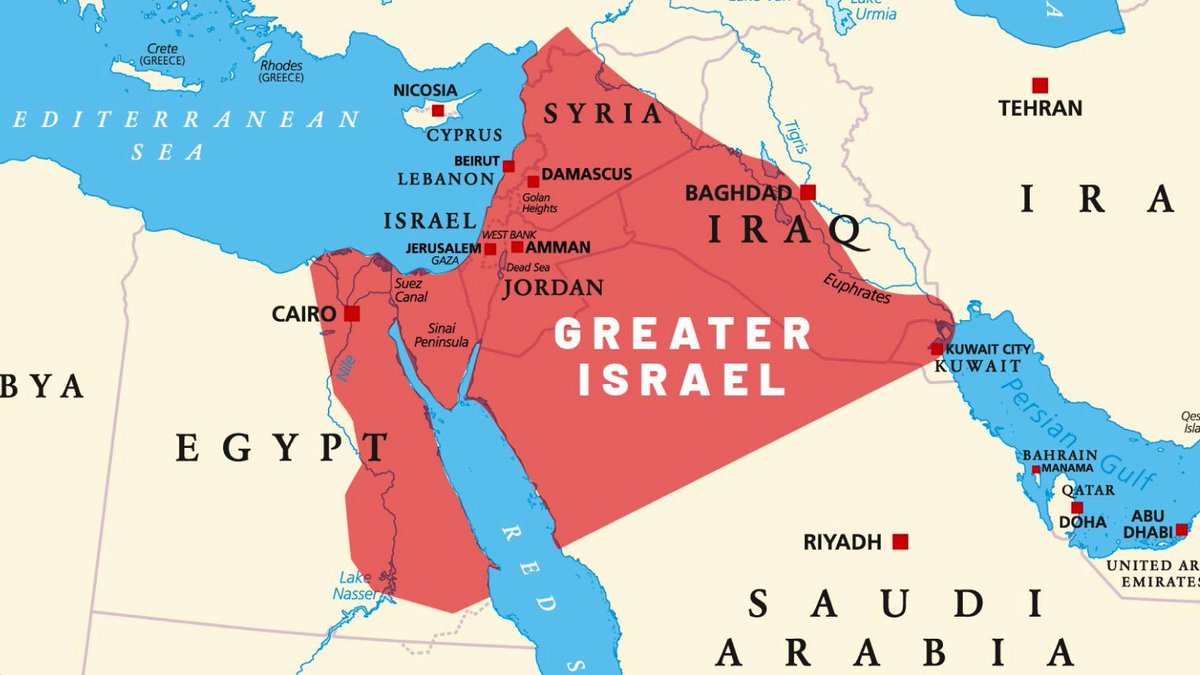 sofie ☭ tweet media