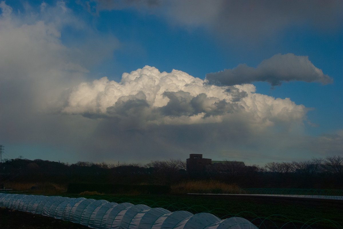 nzworkdown tweet media