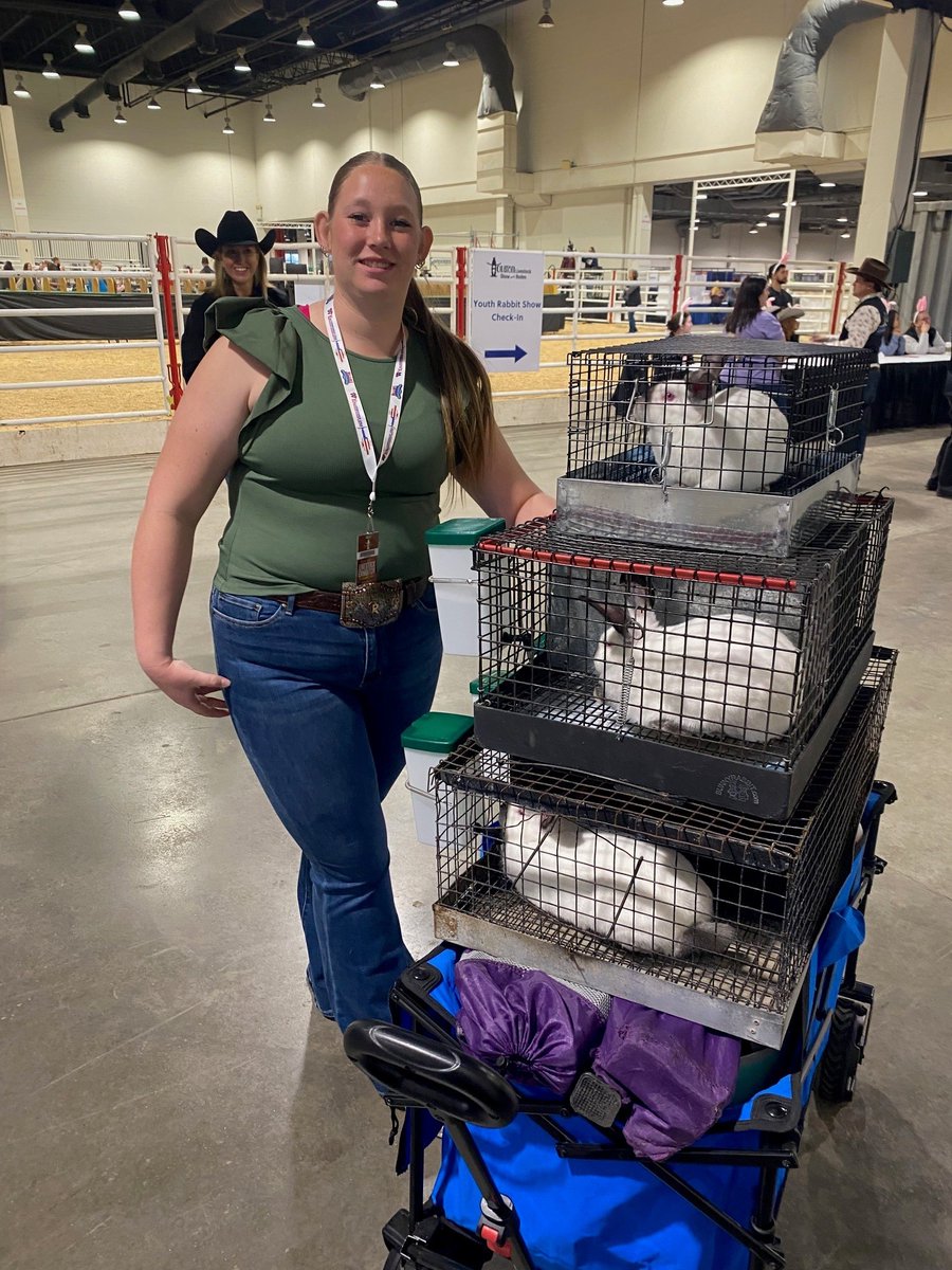 Pasadena ISD Aquatics tweet media