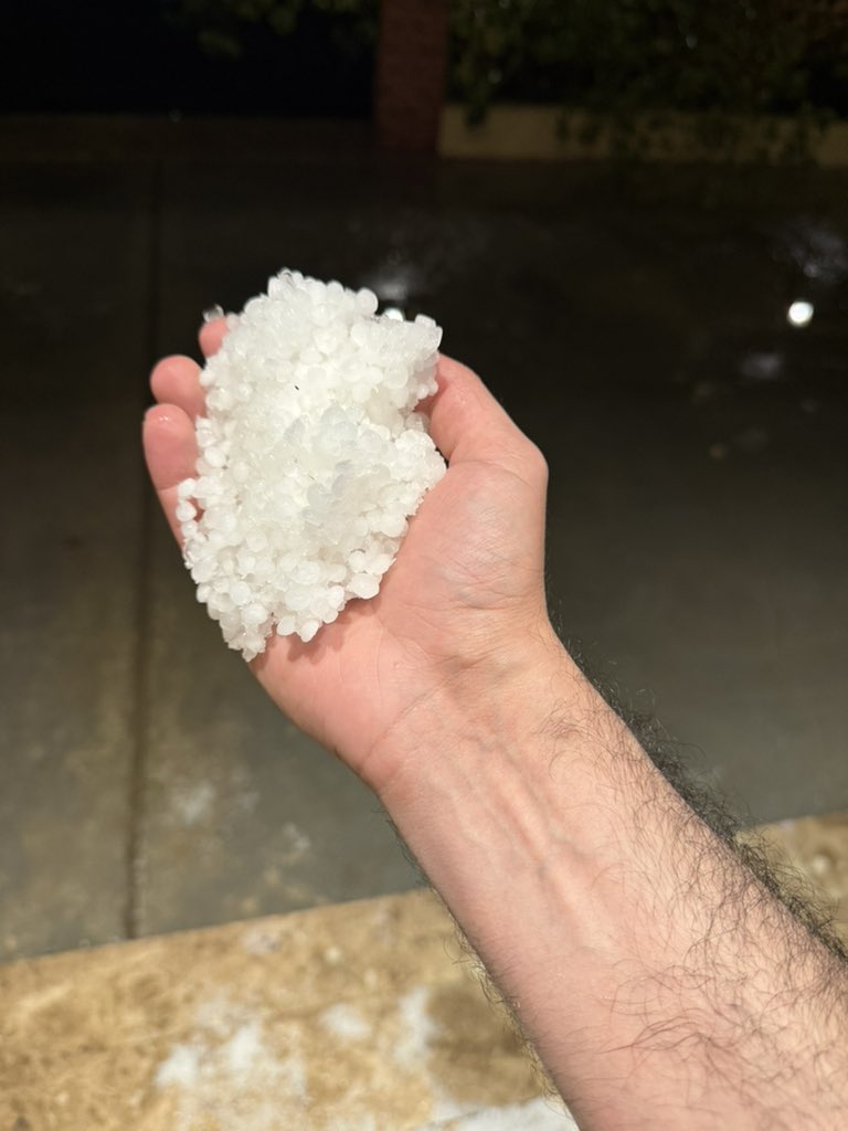 Qais قيس tweet media