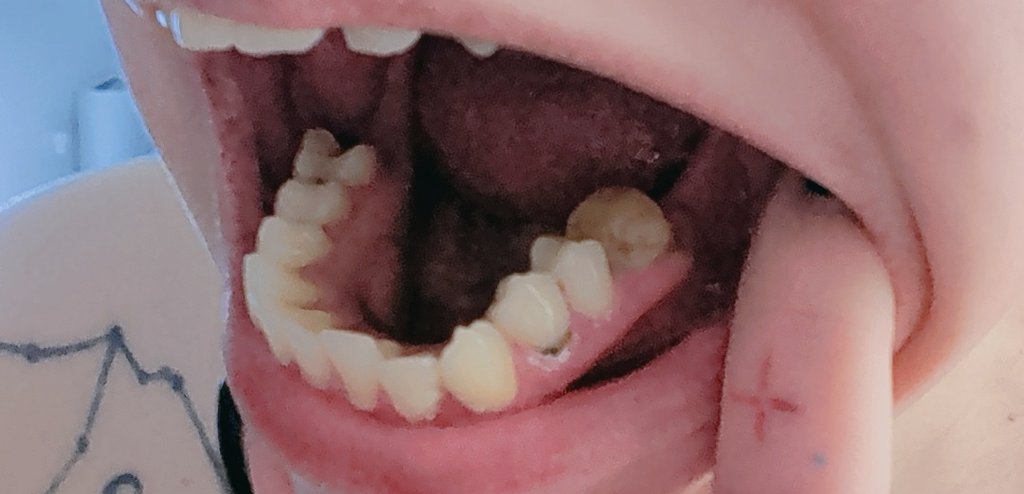 「 VEX | VTUBER | 🩸🛸 」 tweet media