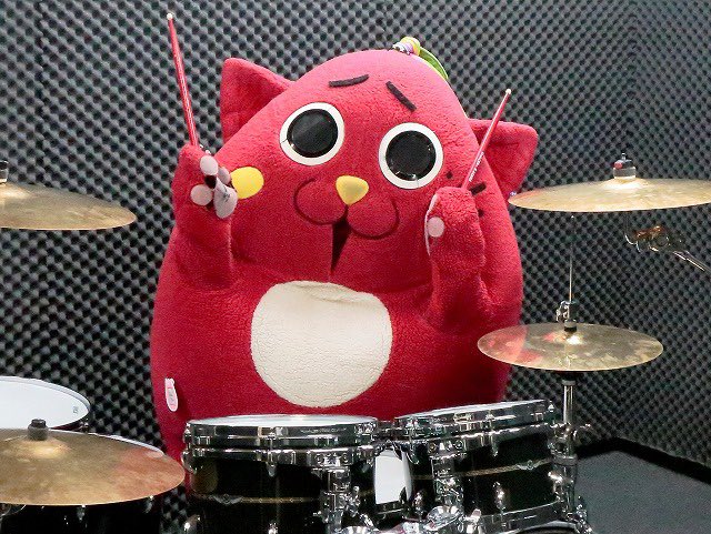 たっちぃ(全国猫カフェ巡り) tweet media