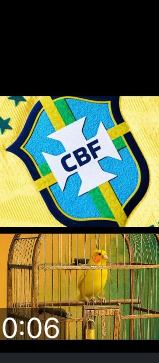 Deividi Vilete tweet media