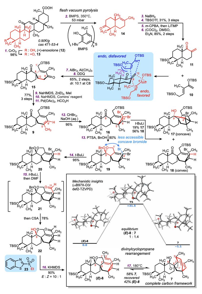 Total Synthesis tweet media