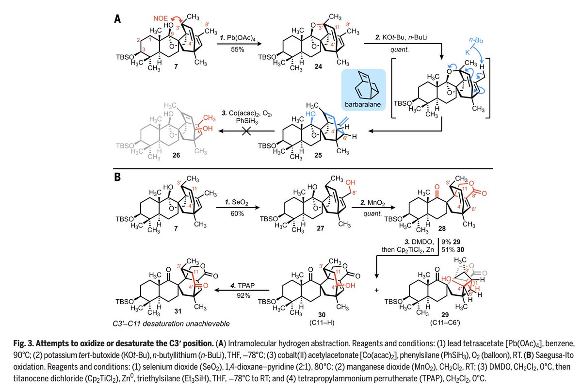 Total Synthesis tweet media