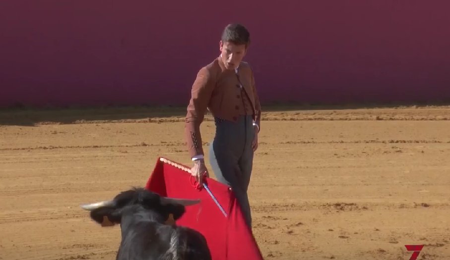 7 TOROS 7 tweet media