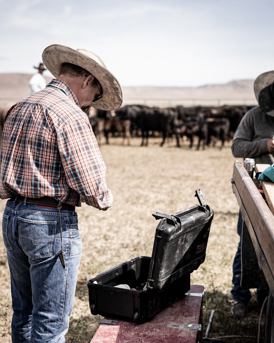 SKB Cases tweet media