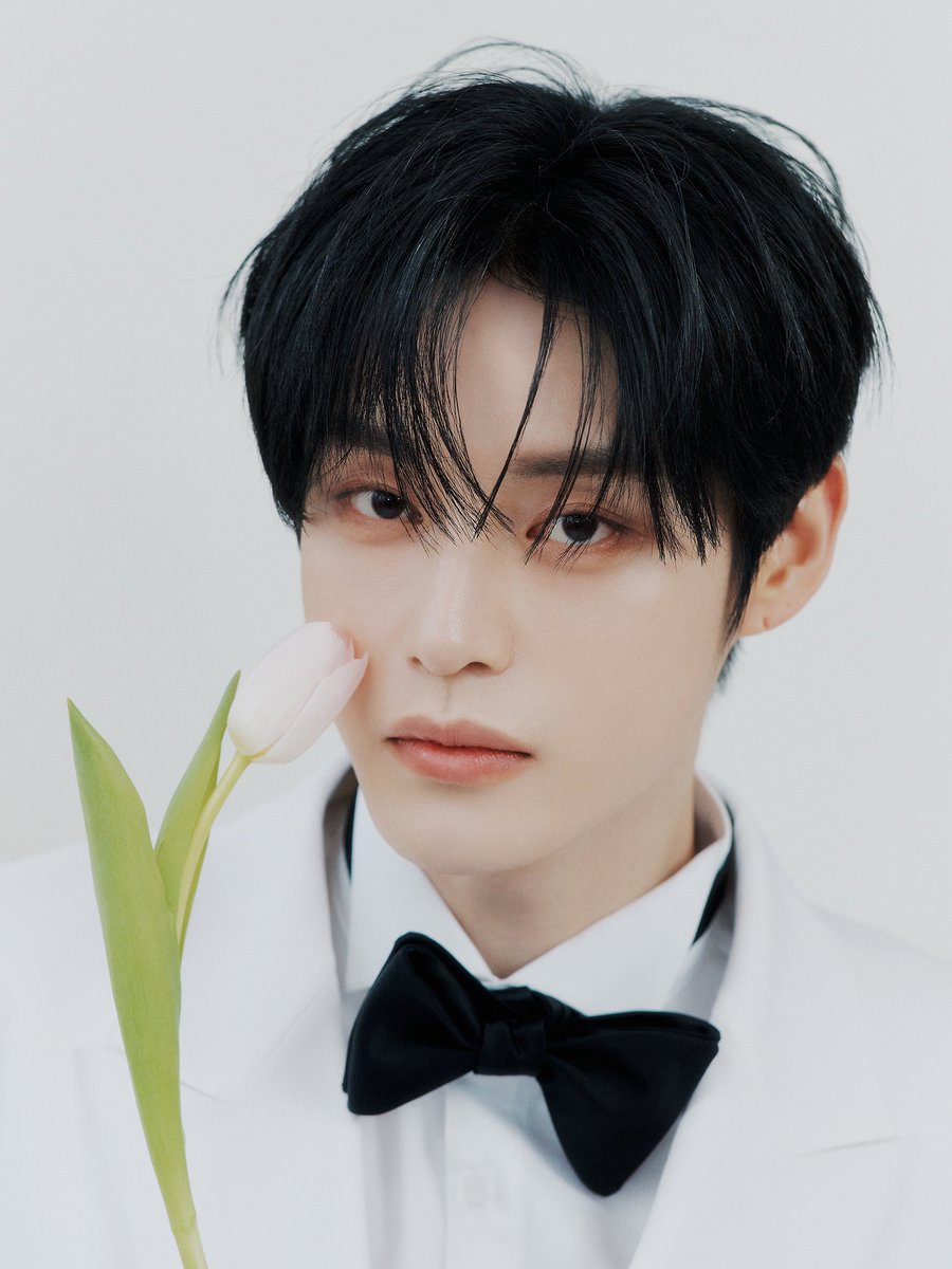 NPOMV | Zine tweet media