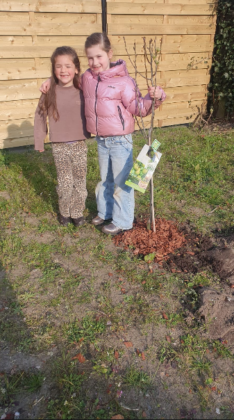 A Dutchman in a Muslim country tweet media