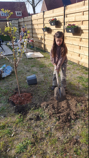 A Dutchman in a Muslim country tweet media