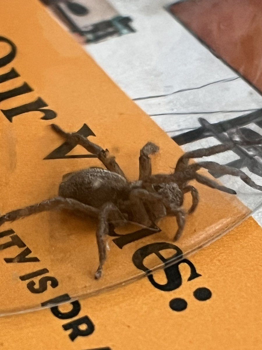 some number of guys tweet media