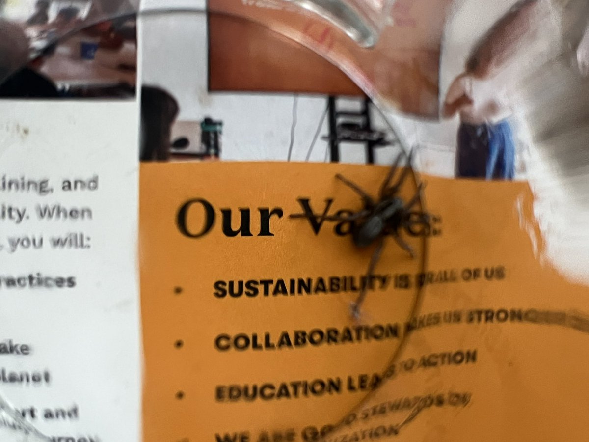 some number of guys tweet media