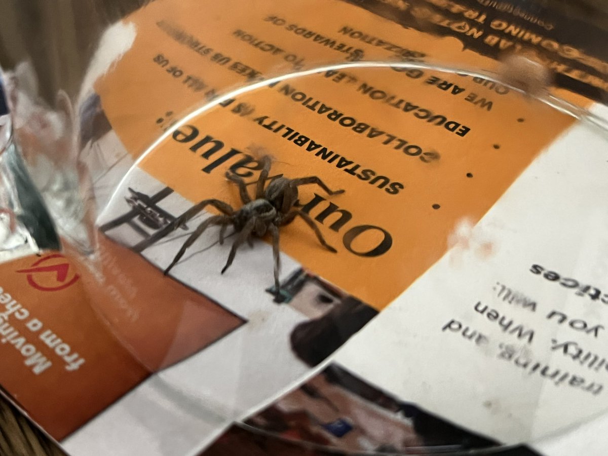 some number of guys tweet media