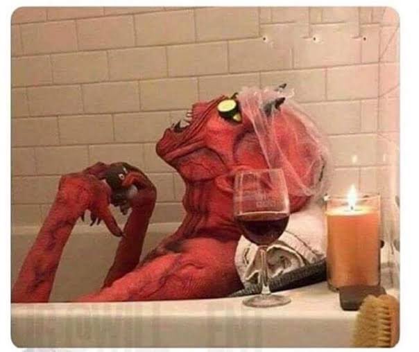 La gata bajo la lluvia tweet media