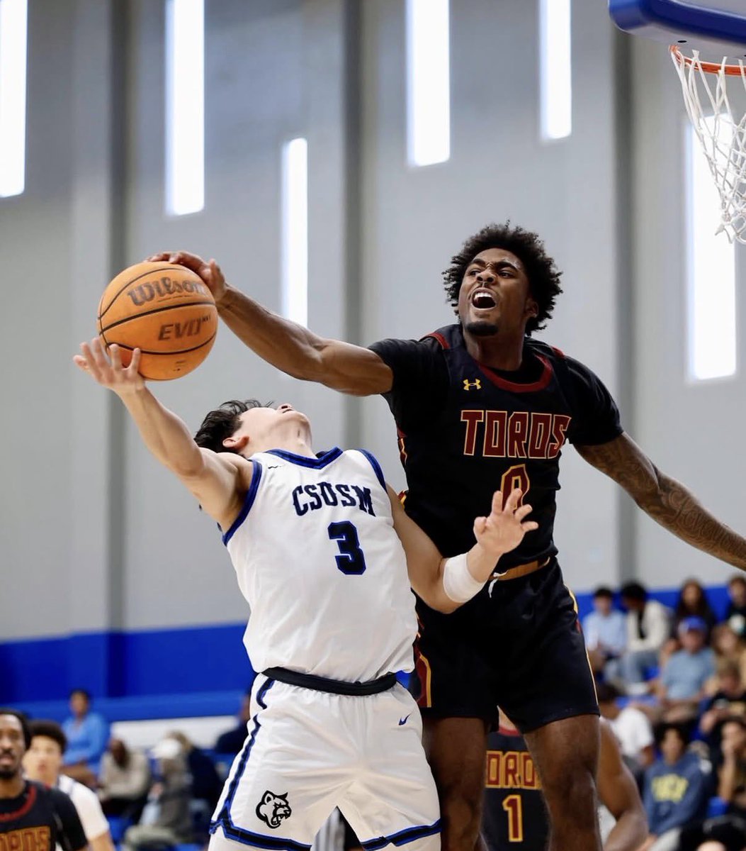 Tobias Bass tweet media