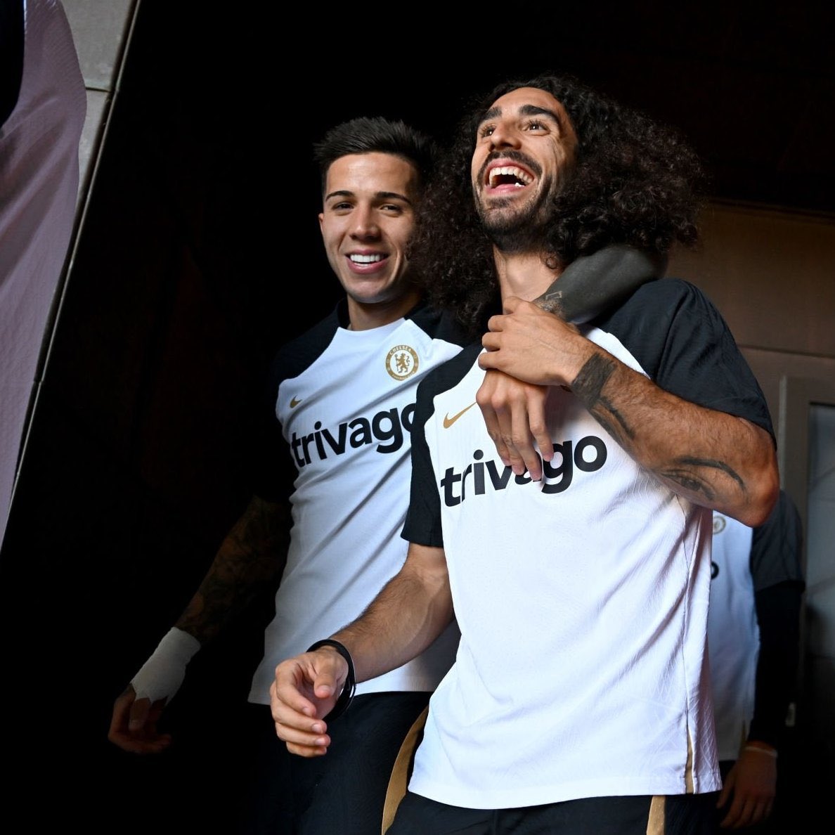 THE CHELSEA FORUM tweet media