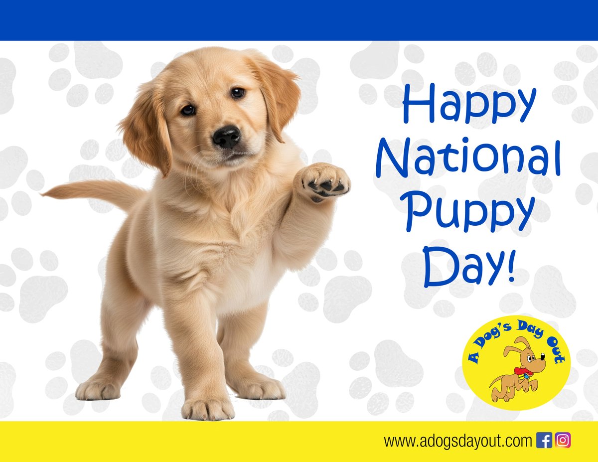 ADogsDayOut tweet picture
