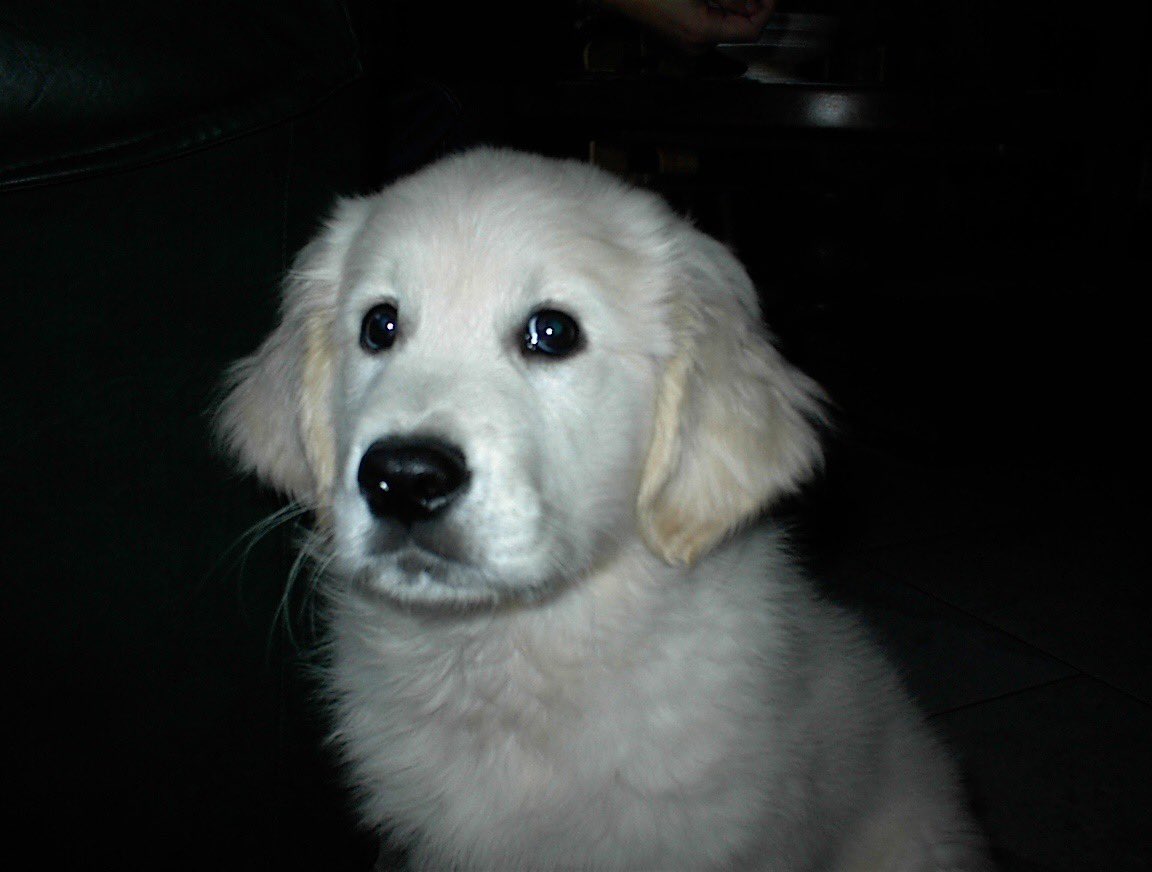 milly🍓 tweet media