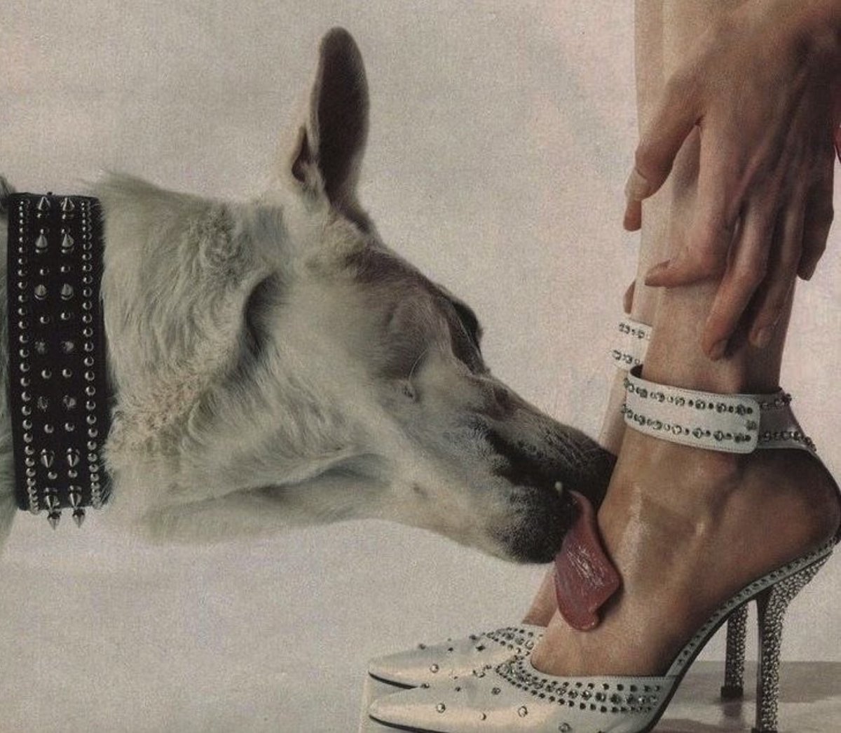 freedom1923 tweet media