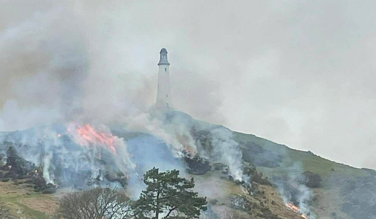 Stephen G. Rae tweet media