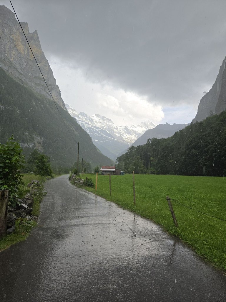 Purely Green tweet media