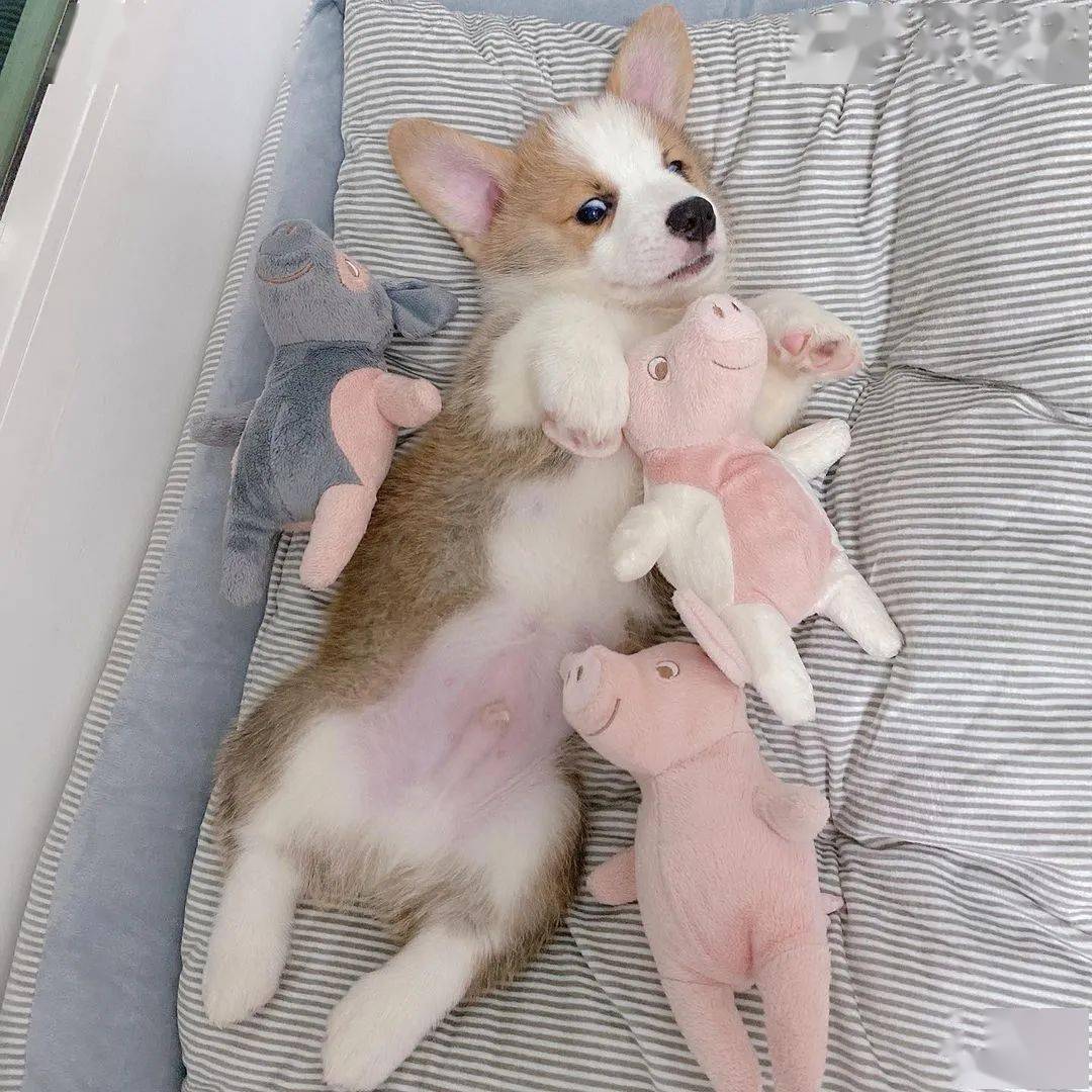 Joelene Kilby tweet media