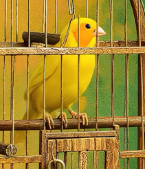 Gelásio Soares. 🇧🇷 tweet media