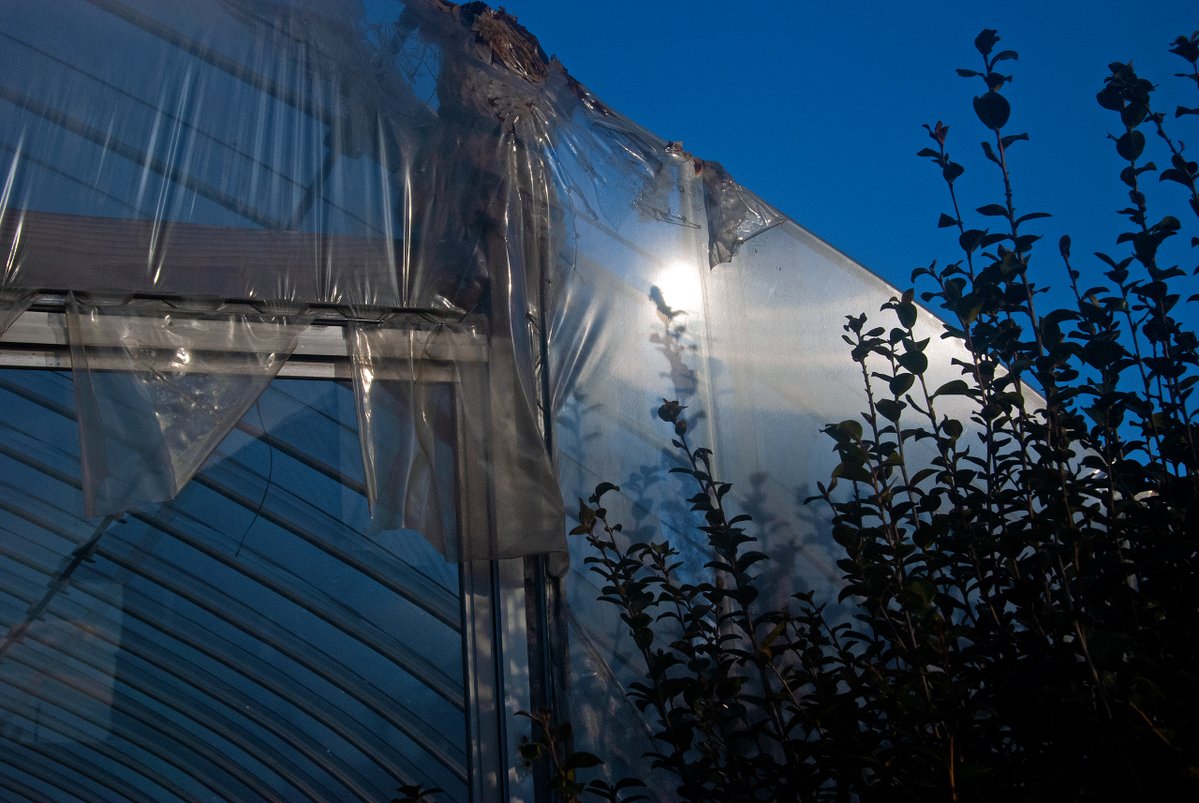 nzworkdown tweet media