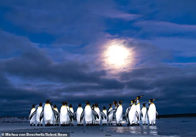 Mr Pål Christiansen tweet media