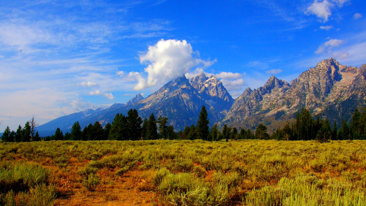 EverNoize tweet media