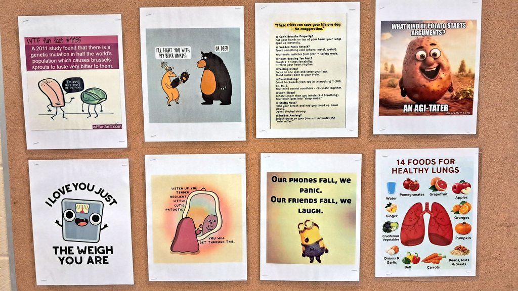 Girls locker room bulletin: week 29 <a href="/NISDStinson/">Stinson MS NISD</a> #skyhawkpride #perocks <a href="/StinsonPTA/">Stinson PTA</a>