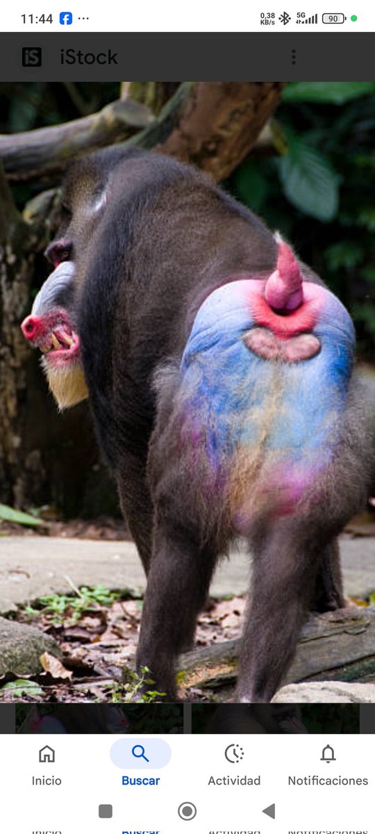 visitacion tweet media