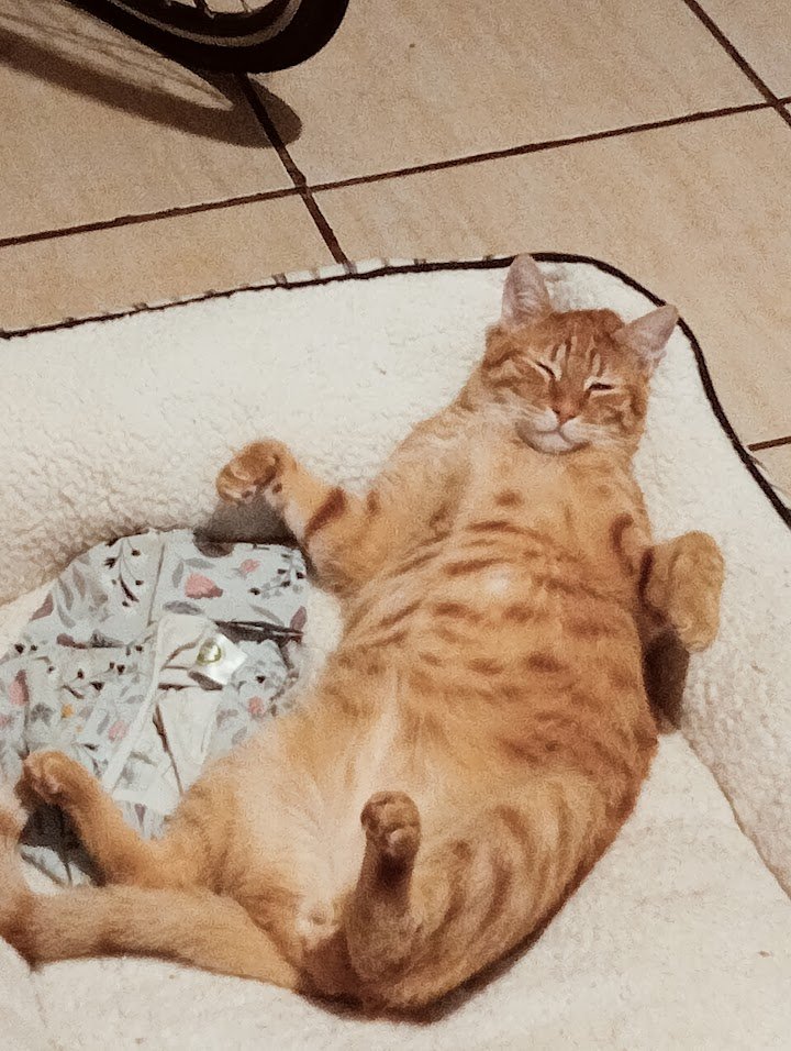 Blue Crystal tweet media