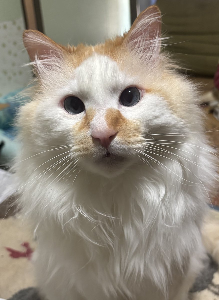 sssssine tweet media