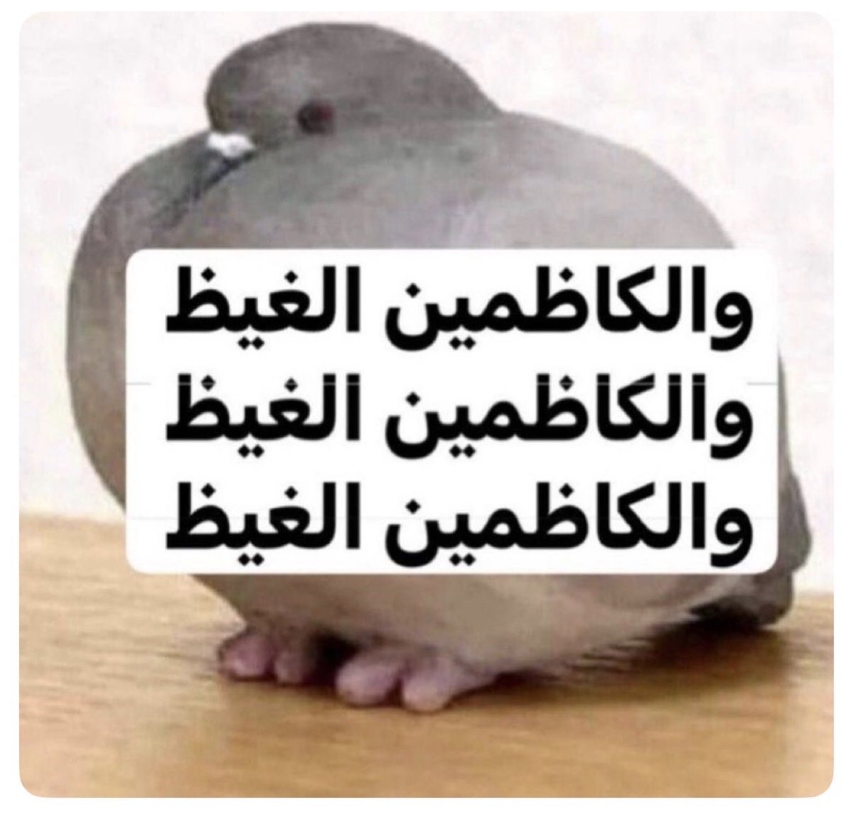 ASMA 🇸🇦👩🏻‍💻✨ tweet media