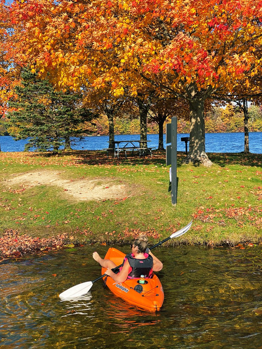 MitchandMarcy's tweet image. Kayaking meets #PureMichigan #fallcolors! Catching the end of her trip to #7LakesStatePark as her #oar glides to the landmass. 
🍁 📸 #mitchandmarcyphotos 

#DailyPictureTheme #FentonMI 
#autumn #kayak