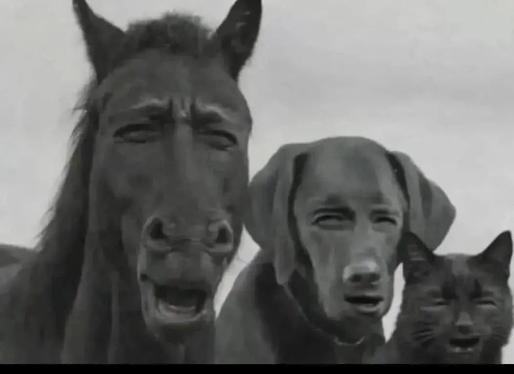 MrCrypto 🟦 tweet media