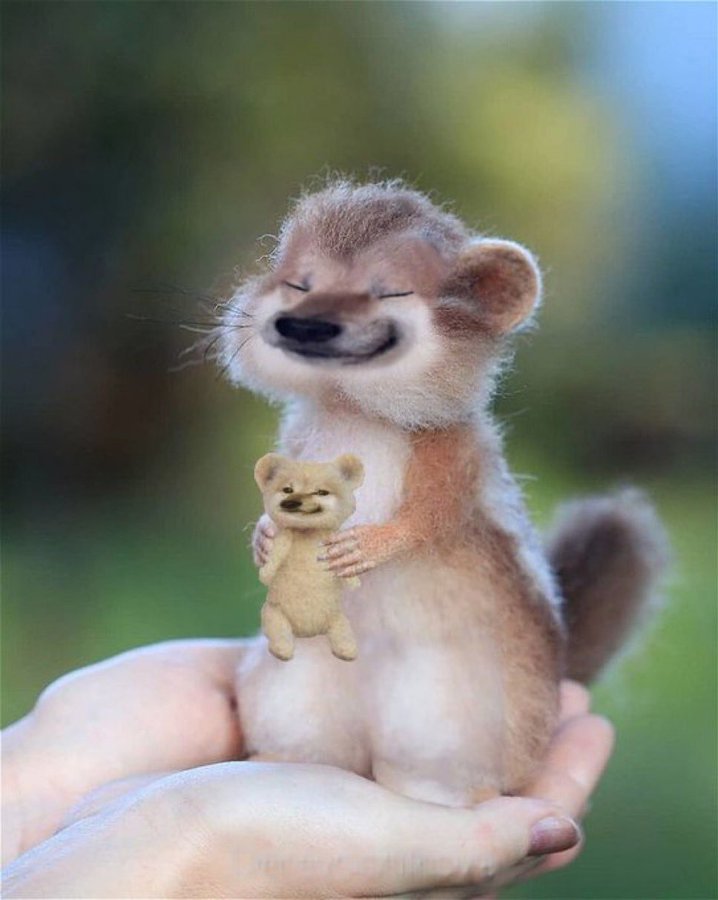 ZiggyFella 🌍​💙​💛​💚​💜​🐧​​​🦫​​🐈‍⬛​🦩🐸 tweet media