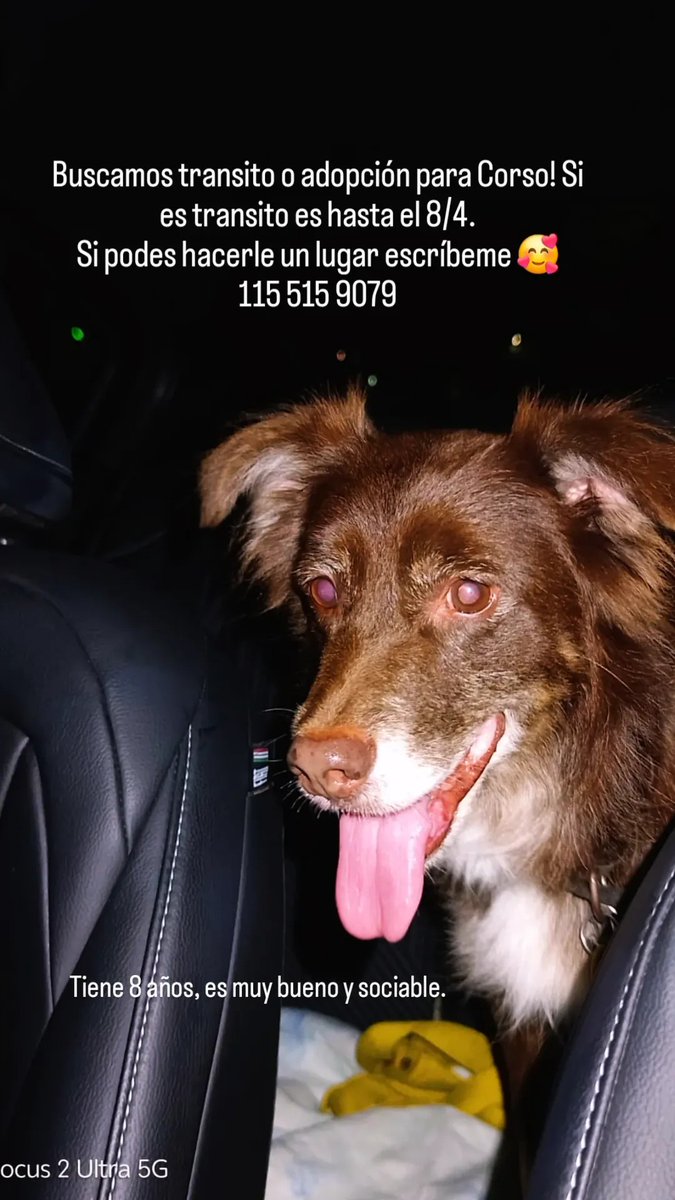 Julieta Cravero tweet media