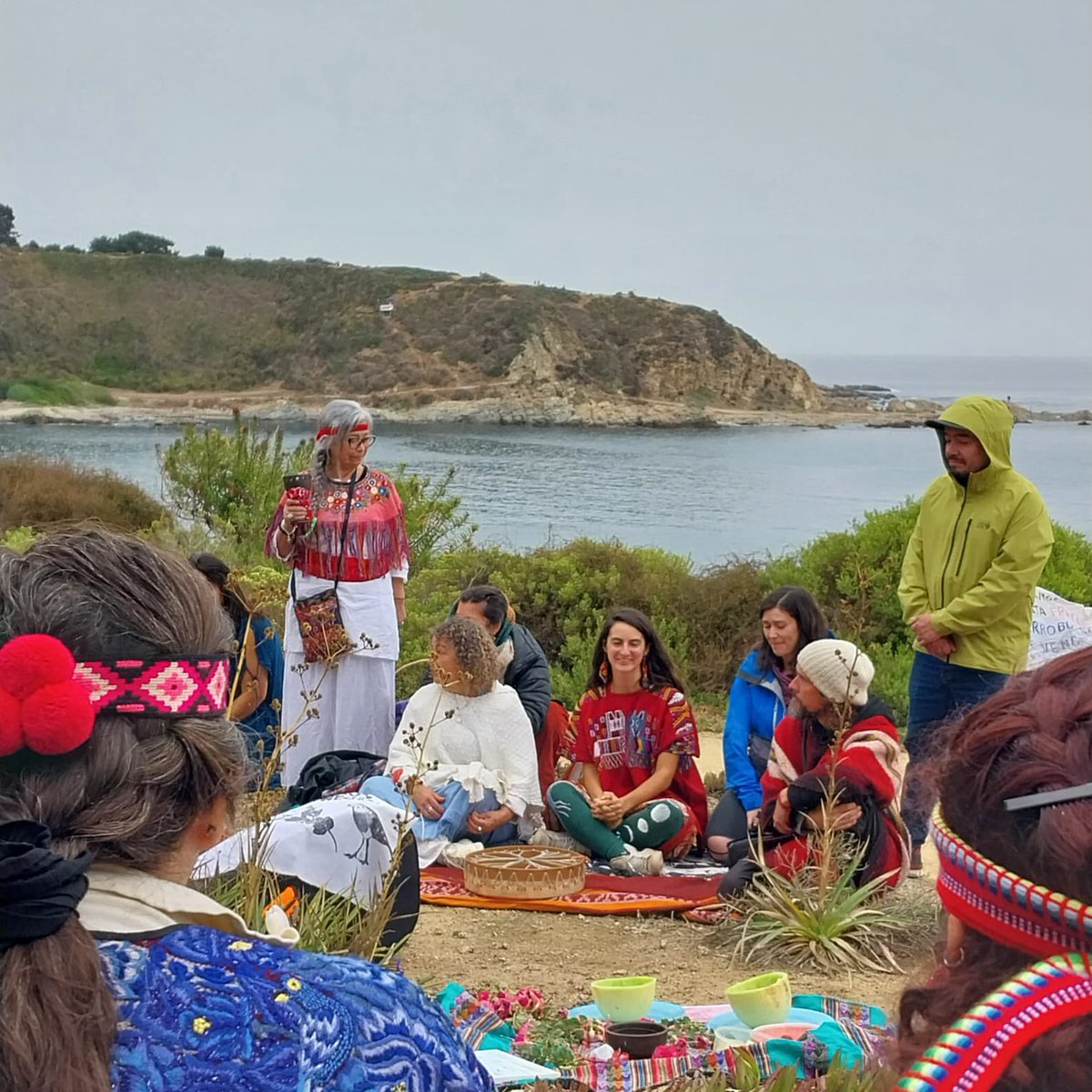 HectorAterciopelados 🌳 tweet media