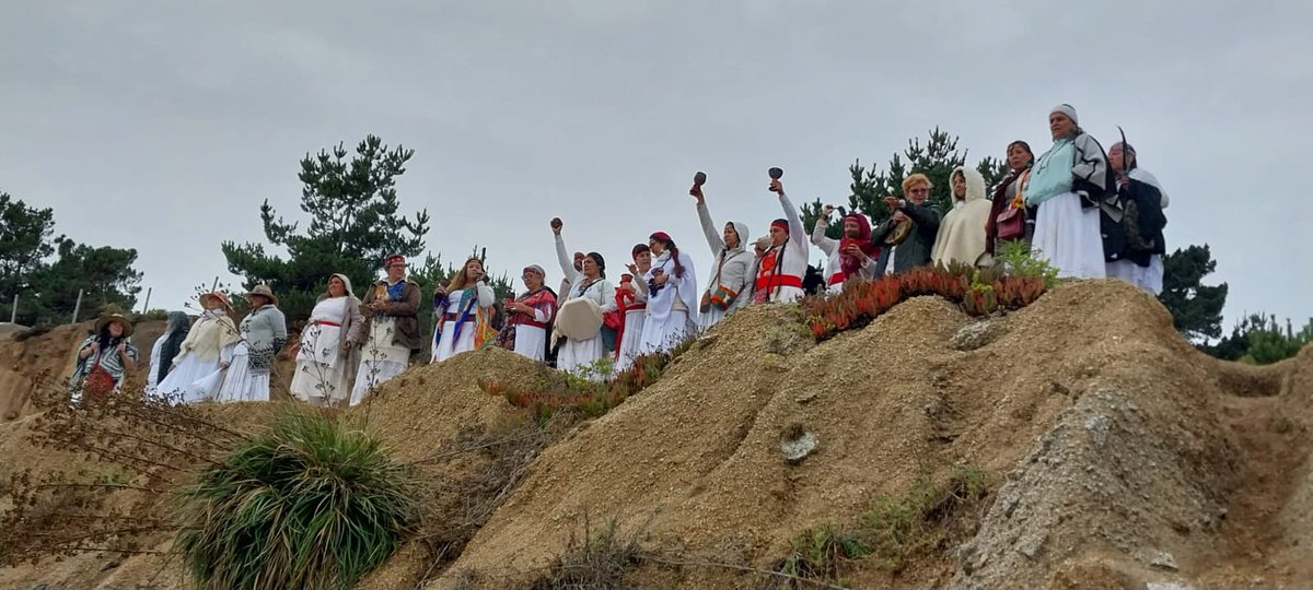 HectorAterciopelados 🌳 tweet media