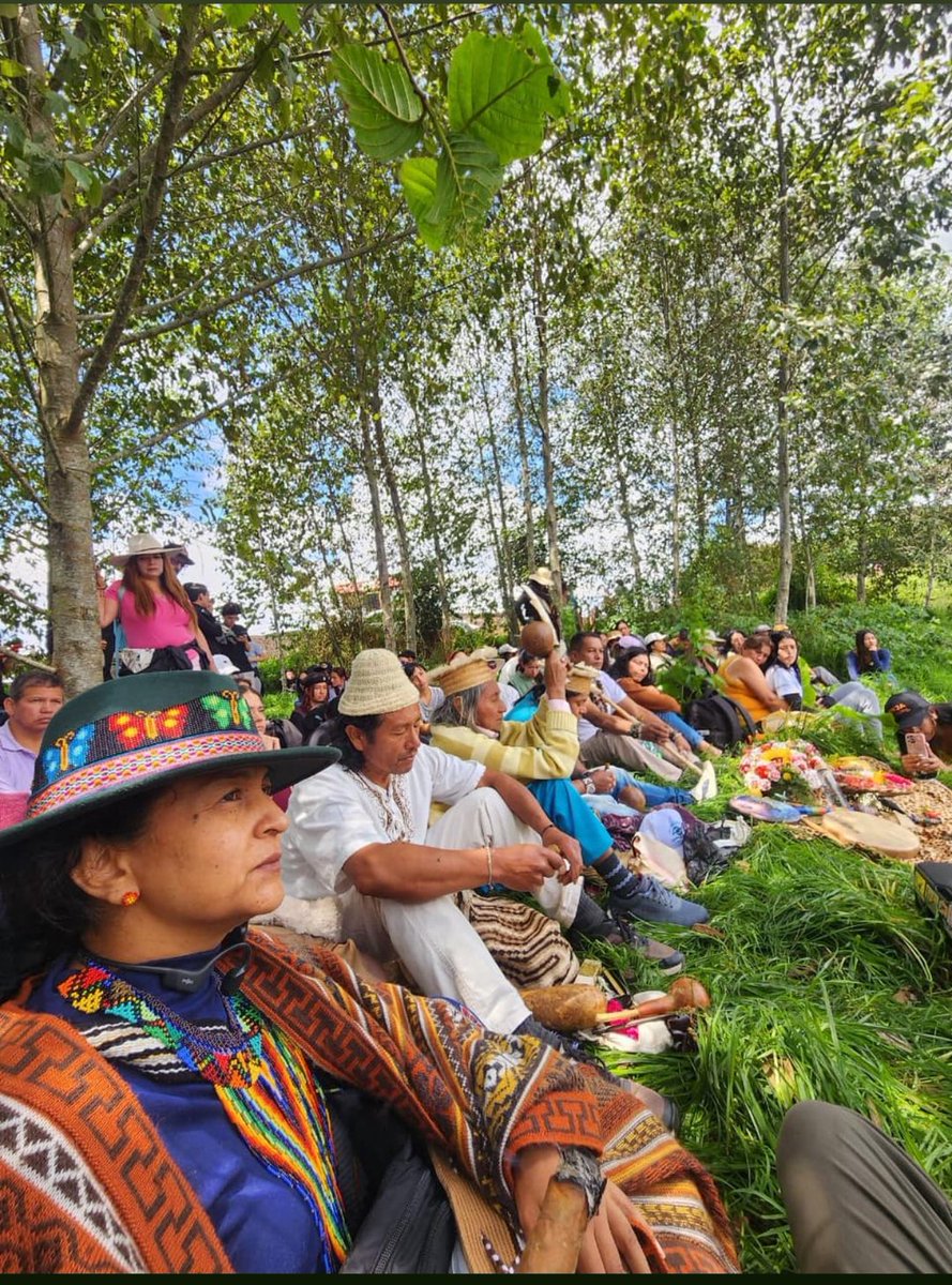 HectorAterciopelados 🌳 tweet media